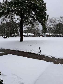 5: golfCourseSnow